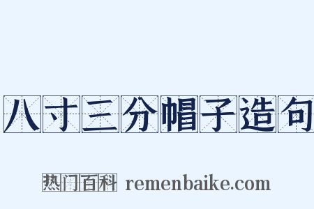 八寸三分帽子造句是什么意思的图片